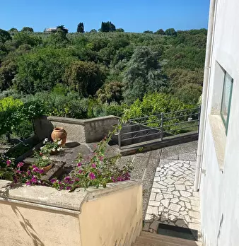 Foto annuncio 52