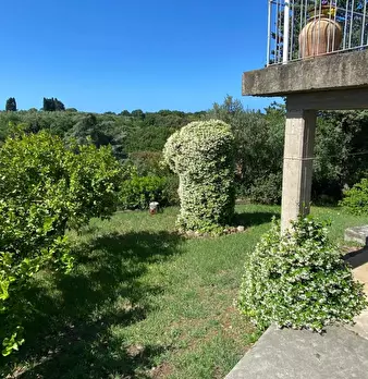 Foto annuncio 41