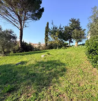 Foto annuncio 35