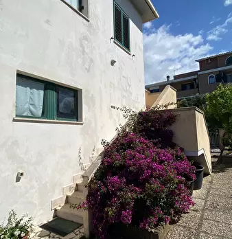 Foto annuncio 43