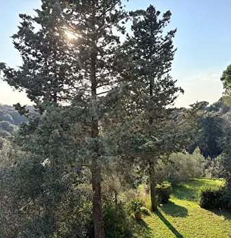 Foto annuncio 31