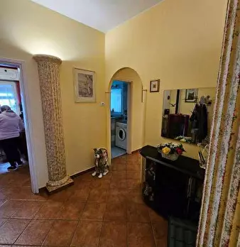 Foto annuncio 7