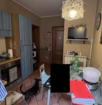 Foto annuncio 7