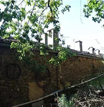 Foto annuncio 5