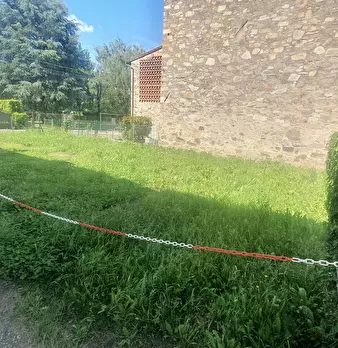 Foto annuncio 51