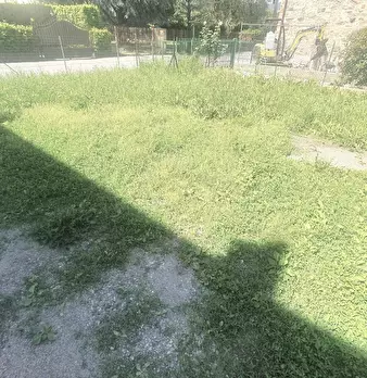 Foto annuncio 52
