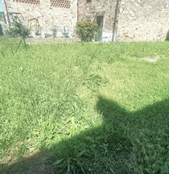 Foto annuncio 53