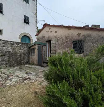 Foto annuncio 12
