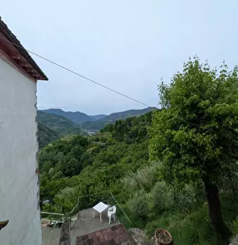 Foto annuncio 13