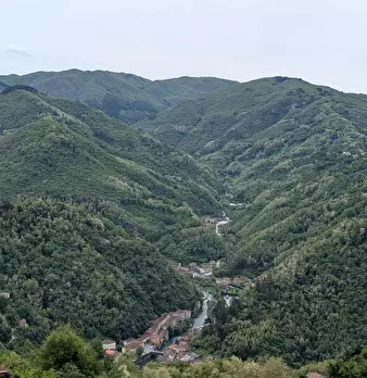 Foto annuncio 22