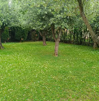 Foto annuncio 19