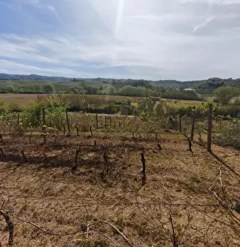 Foto annuncio 11