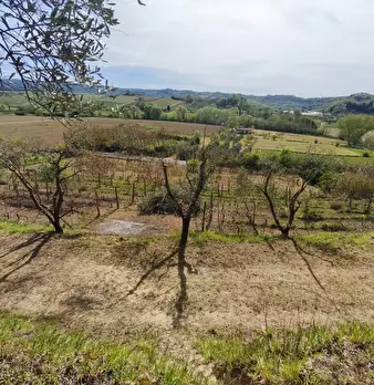 Foto annuncio 25