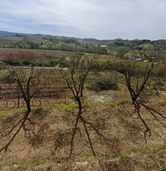 Foto annuncio 14
