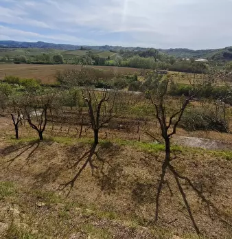 Foto annuncio 15