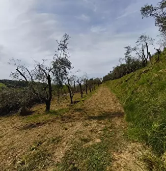 Foto annuncio 26