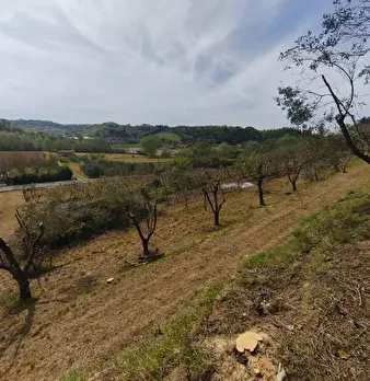 Foto annuncio 19