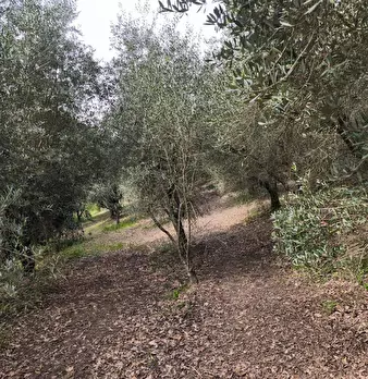 Foto annuncio 21