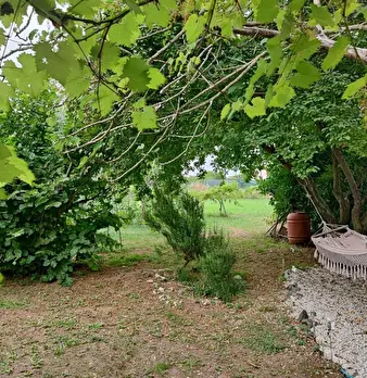 Foto annuncio 1