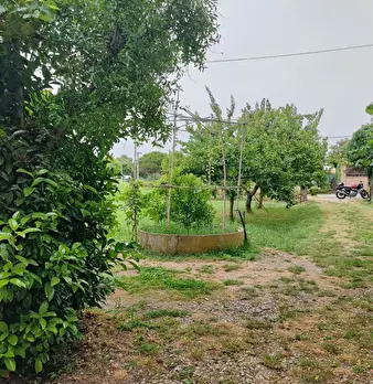 Foto annuncio 2