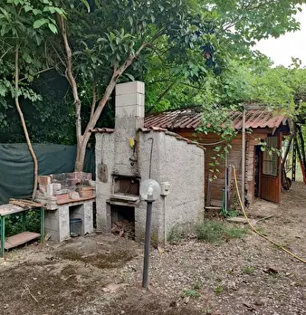 Foto annuncio 12