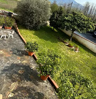 Foto annuncio 25