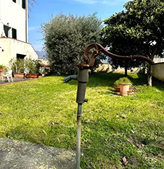 Foto annuncio 36