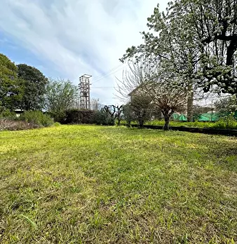 Foto annuncio 19