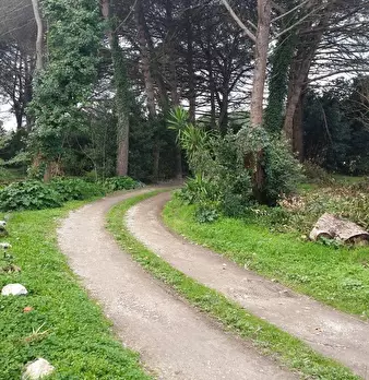 Foto annuncio 10