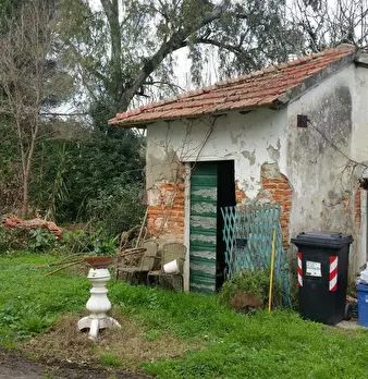 Foto annuncio 7