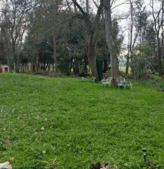Foto annuncio 13