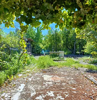 Foto annuncio 2