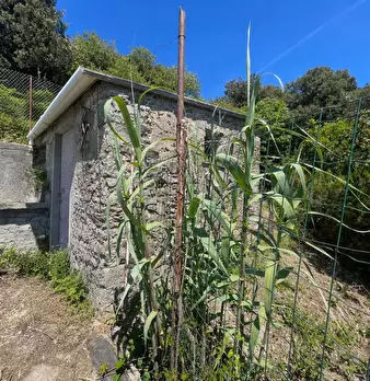 Foto annuncio 8