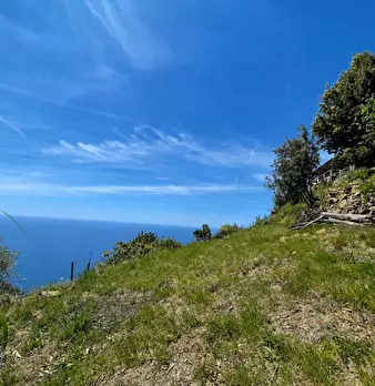 Foto annuncio 6