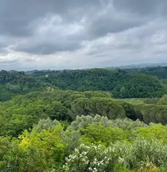 Foto annuncio 28