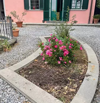 Foto annuncio 24