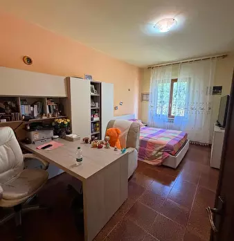 Foto annuncio 11
