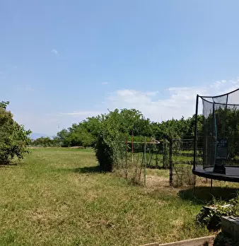 Foto annuncio 5