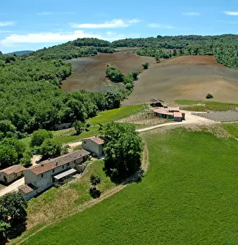 Foto annuncio 6