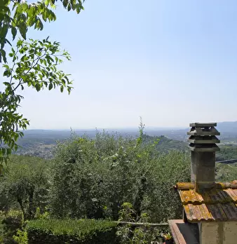 Foto annuncio 5