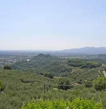 Foto annuncio 2