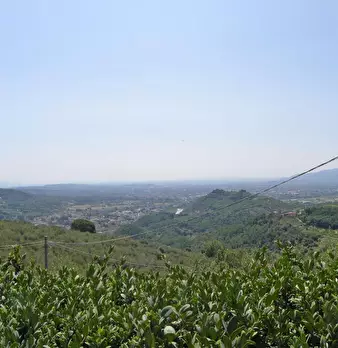 Foto annuncio 4