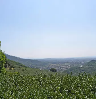 Foto annuncio 3