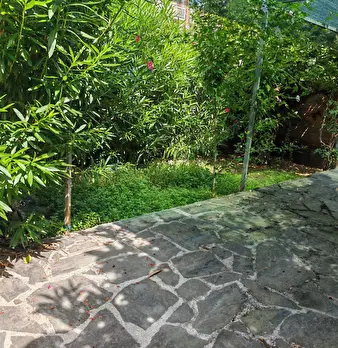 Foto annuncio 10