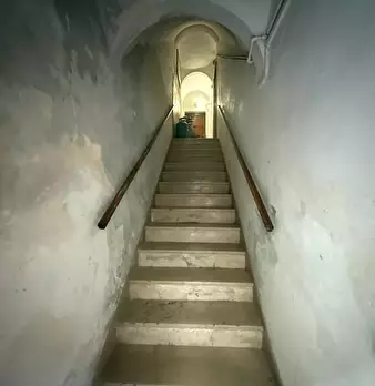 Foto annuncio 12