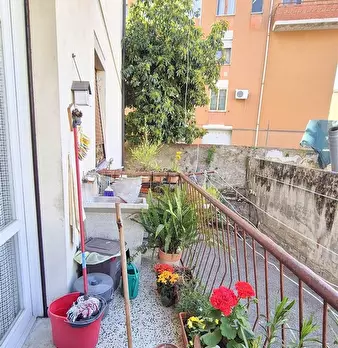 Foto annuncio 12