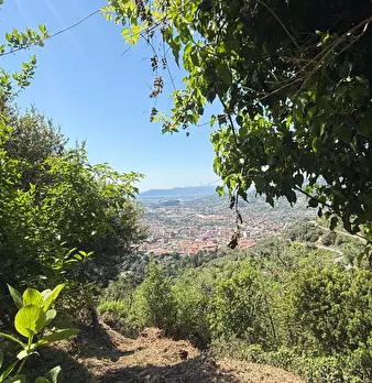 Foto annuncio 7