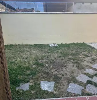 Foto annuncio 25