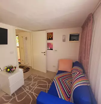Foto annuncio 7