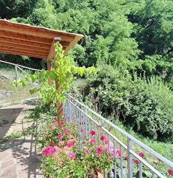 Foto annuncio 26